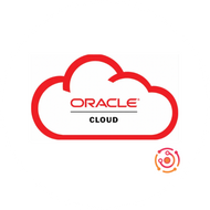 Oracle General Maintenance, Development, and Production Support Hours