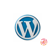 WordPress Design